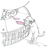 �`���b�s�[