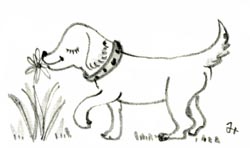 �������Ƃ��邢�Ă�`���b�s�[