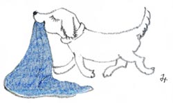 ���C�~�����킦���`���b�s�[