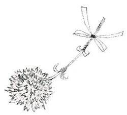 �J�[�l�[�V����