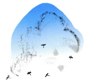 �_�ƃg���{