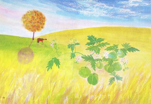 �����񂩂���