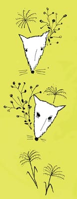 ��C�̎q����