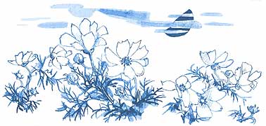 ��������ɏƂ炳�ꂽ�ԁX