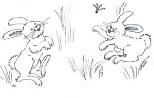 �������ƉH��