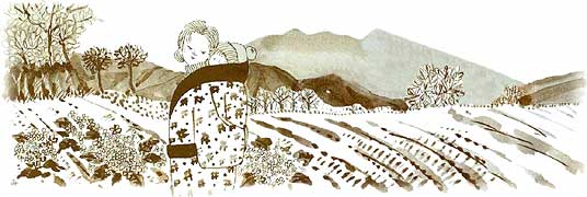 �؂̉Ԕ��Ƃ��ꂳ��ɂ���Ԃ��ꂽ�}�[�����