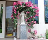 玄関前のフランシスコ像